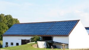 Read more about the article Fotowoltaika w rolnictwie – jak gospodarstwa rolne mogą skorzystać z energii słonecznej