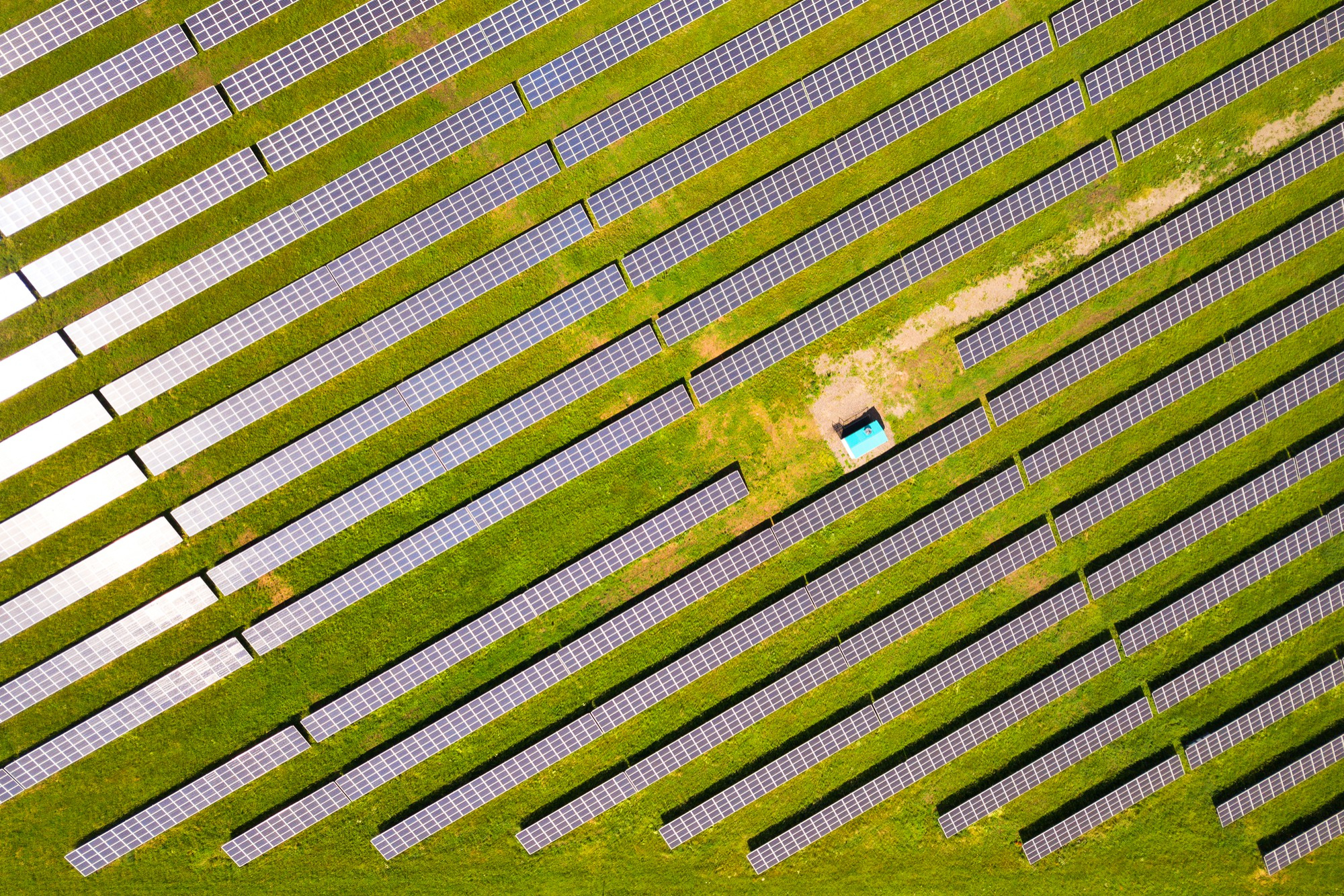 Farmy PV w Polsce na zakręcie transformacji energetycznej – szanse, wyzwania i rosnący problem curtailmentów