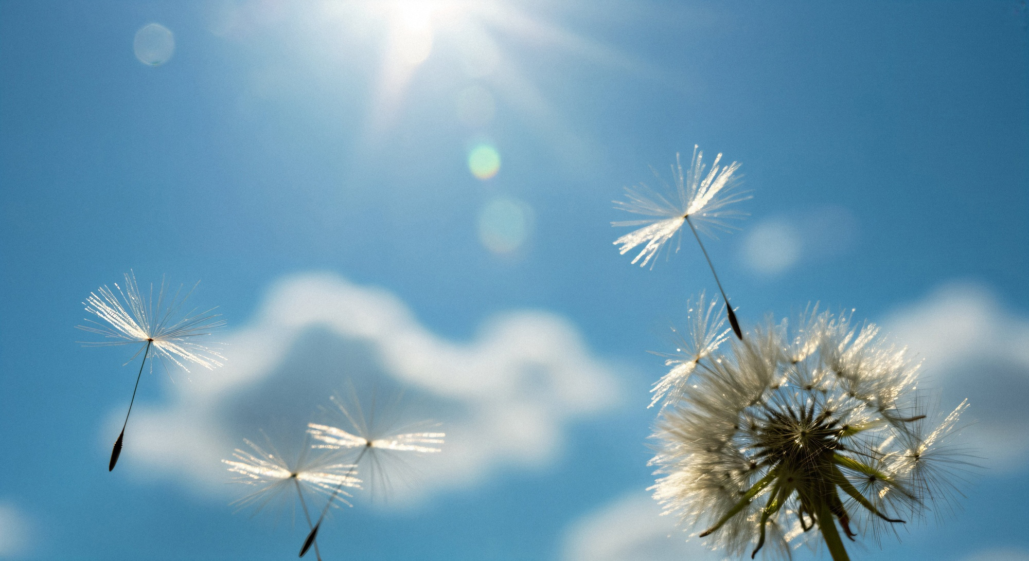 Czyste powietrze w zasięgu ręki: Wrzesień 2025 – ostatnia szansa na dotacje Mój Prąd i Czyste Powietrze