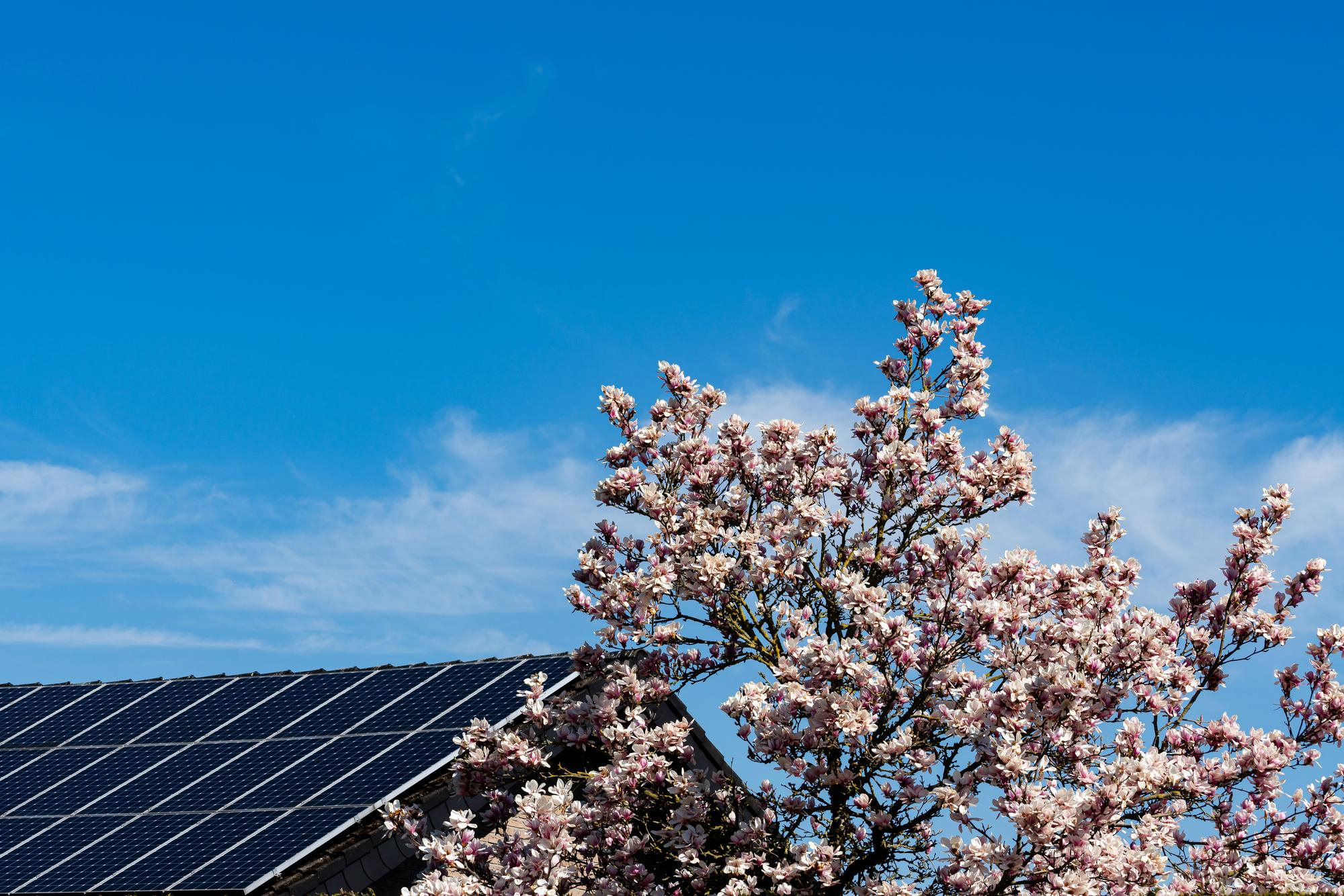 Dlaczego magazyny energii zyskują na znaczeniu właśnie wiosną?