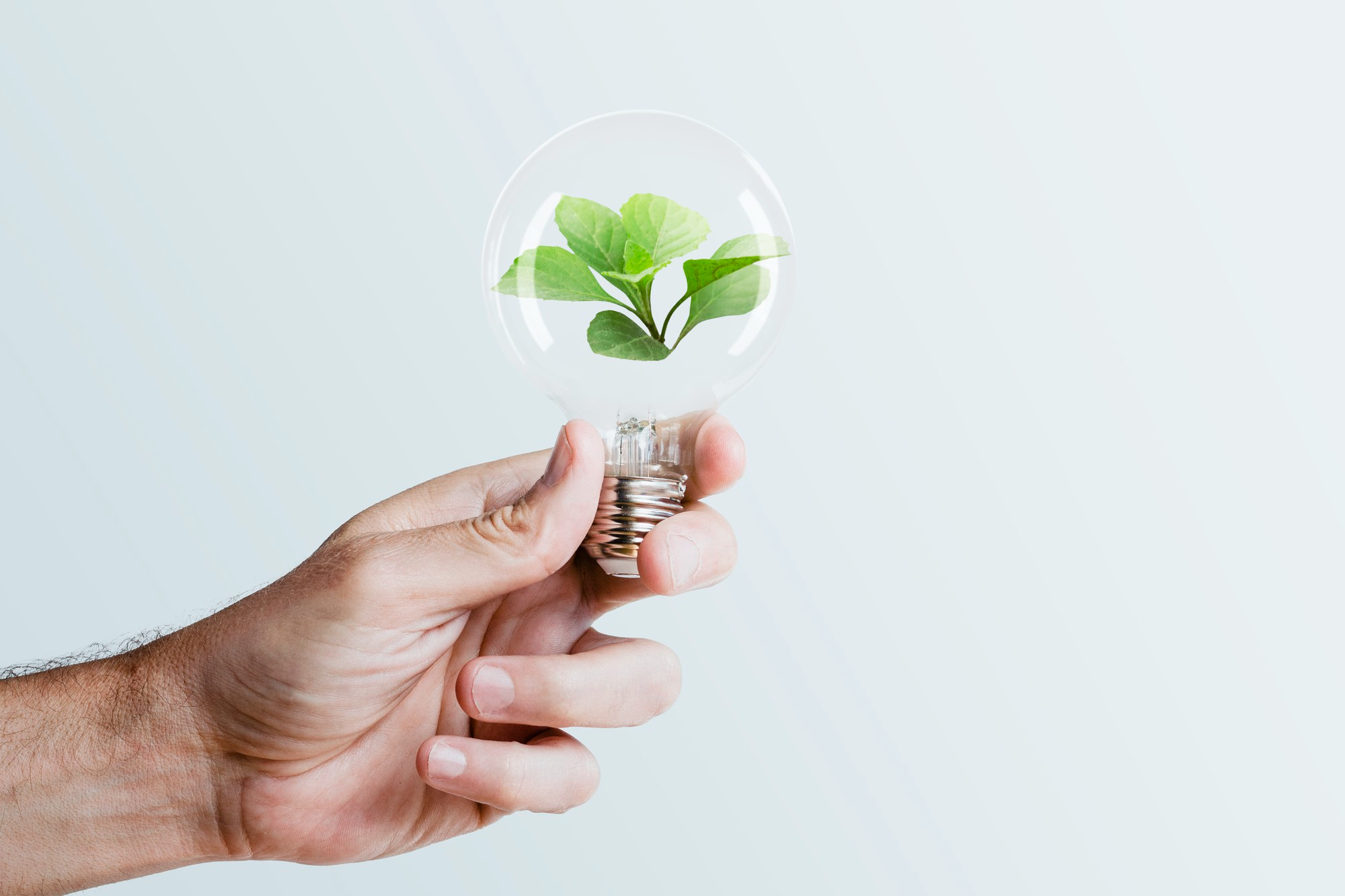 JST i zielona energia – jak samorządy mogą finansować OZE w Małopolsce?